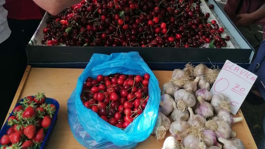 Split; Private Morning Walking Tour in Split - Final Thoughts