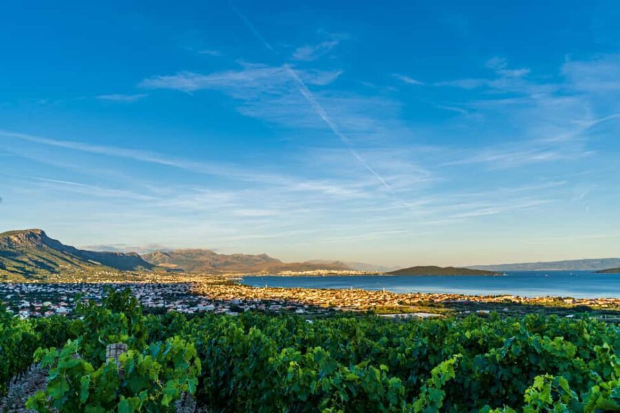 Split: Sip & Celebrate Wine-tasting Hen Party in a Vineyard - What Sets This Tour Apart?