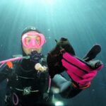 SSI Try Scuba Diving in the sea - Overview of the Experience