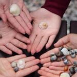 St Andrews, Falkland Palace, Fife Fishing Villages Tour - Frequently Asked Questions