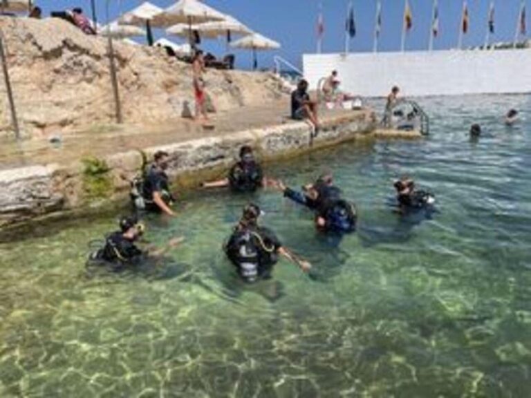 St Julians: Discover Scuba Diving Experience - Final Thoughts: Who Should Book?