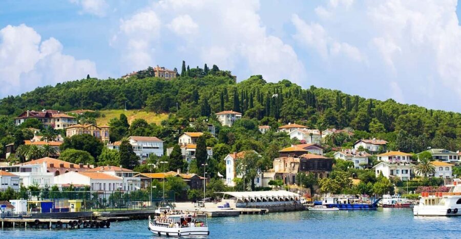 stanbul: Prince Island Full Day Tour - What Makes This Tour Stand Out?