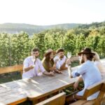 Stancija Collis: A Private Winery adventure in Rovinj - Who Will Love This Experience?