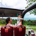 Stavanger: City Sightseeing Hop-On Hop-Off Bus Tour - What to Expect During the Tour