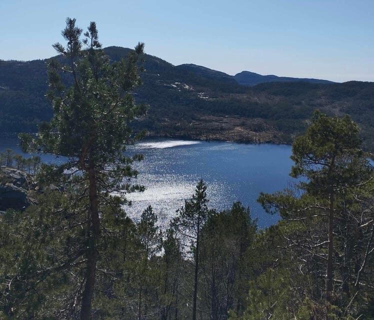 Stavanger: Preikestolen Tour with Guide and Pickup - The Scenic Ascent and Descent