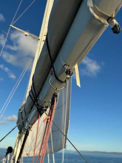 Stintino & Asinara Dream  15m Sailboat with Lunch Included - The Value of This Experience