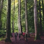 Stirling, Highlands & Destilería desde Edimburgo en español. - What We Loved About This Tour