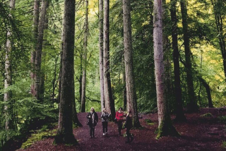 Stirling, Highlands & Destilería desde Edimburgo en español. - What We Loved About This Tour