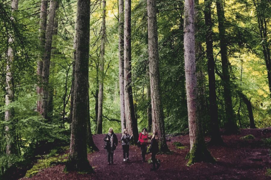 Stirling, Highlands & Destilería desde Edimburgo en español. - What We Loved About This Tour