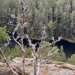 Stockholm: Canoe and Kayak Rental in Sörmland - Who Is This Tour Best For?