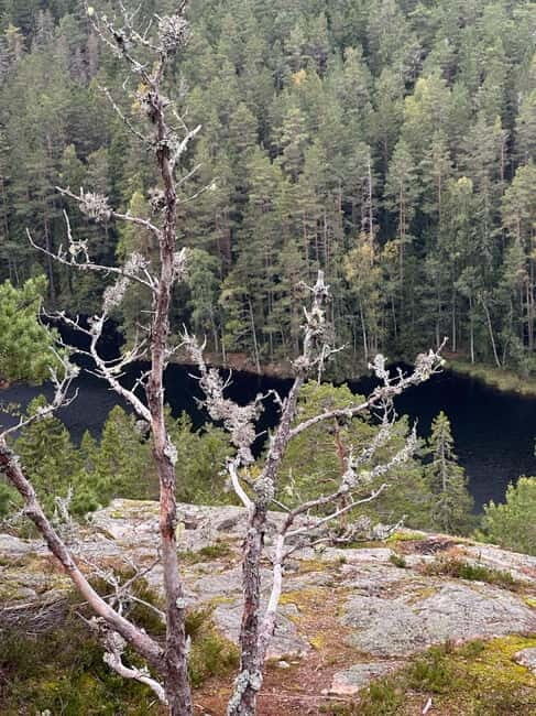 Stockholm: Canoe and Kayak Rental in Sörmland - Who Is This Tour Best For?