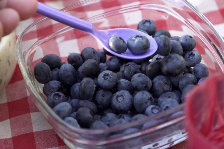 Stockholm: Evening Wildlife Safari with Midsummer Meal - A Closer Look at the Itinerary and Experience