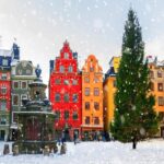 Stockholm Gamla Stan Walking Tour and Djurgården Boat Cruise - Practical tips for travelers