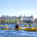 Stockholm: Guided Kayak City Tour & Optional Midsummer Meal - Final Thoughts: Is It Worth It?