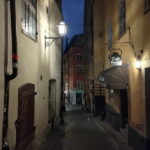 Stockholm: private 3h tour - Old Town, ferry and Vasa museum - The Vasa Museum: A Maritime Marvel with Skip-the-Line Access