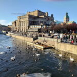 Stockholm: Private Guided Car Tour and Vasa Museum Entry - Personalized Exploration and Local Insights