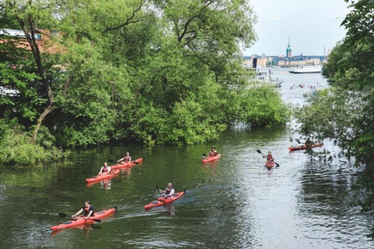 Stockholm: Self-Guided 1 or 2-Person Kayak Tour - What to Expect When You Book This Kayak Tour