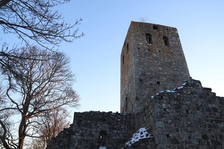 Stockholm: Sigtuna and Uppsala Viking History Day Tour - What to Expect from the Itinerary