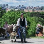Stockholm: Skansen Open-Air Museum Admission Ticket - The Bottom Line: Is It Worth It?