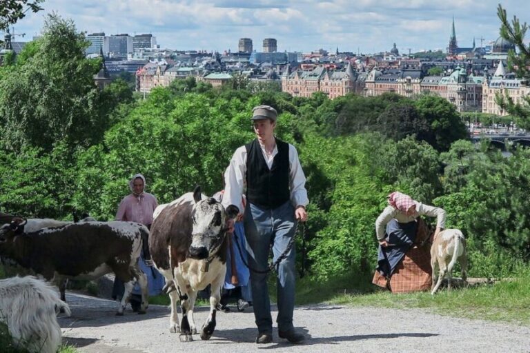 Stockholm: Skansen Open-Air Museum Admission Ticket - The Bottom Line: Is It Worth It?
