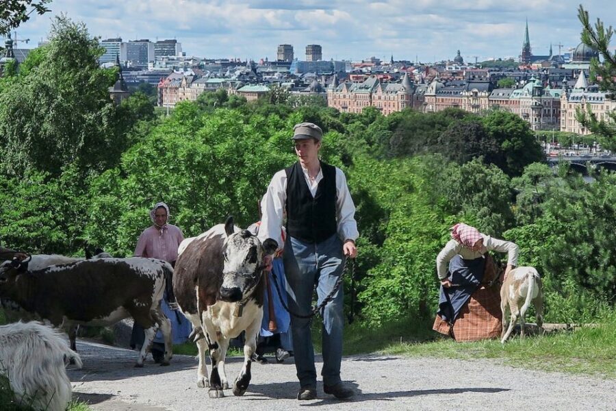 Stockholm: Skansen Open-Air Museum Admission Ticket - The Bottom Line: Is It Worth It?