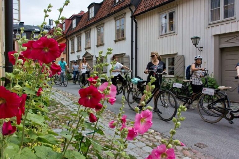 Stockholm: Södermalm E-Bike Tour - Authentic Insights from Reviews