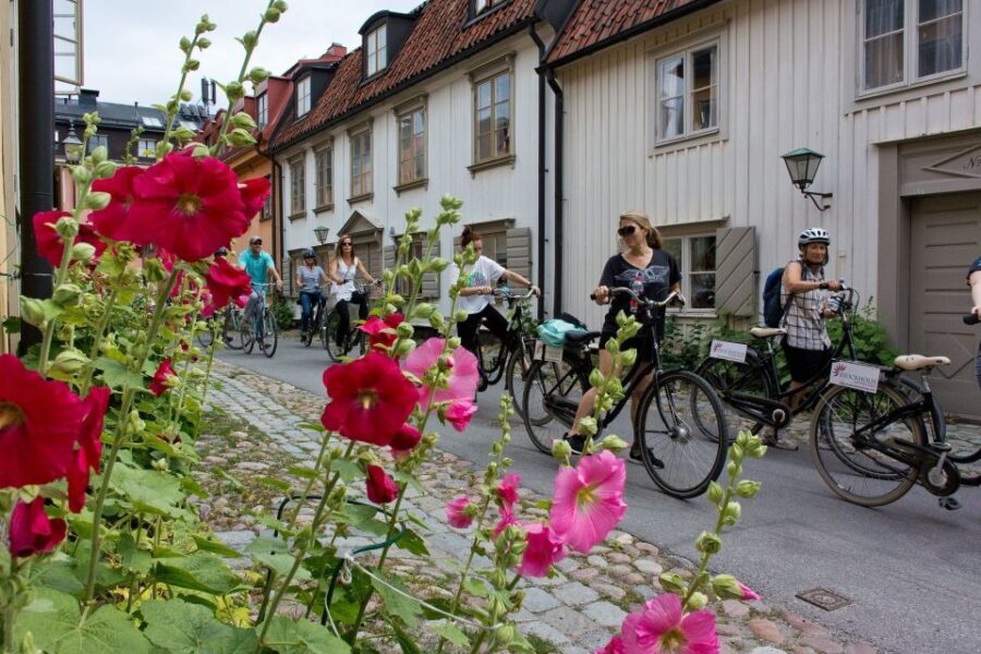 Stockholm: Södermalm E-Bike Tour - Authentic Insights from Reviews