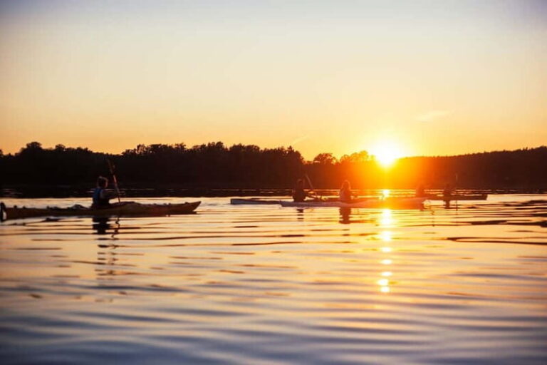 Stockholm: Sunset Archipelago Kayaking & Toast on the Water - Wildlife and Scenic Highlights