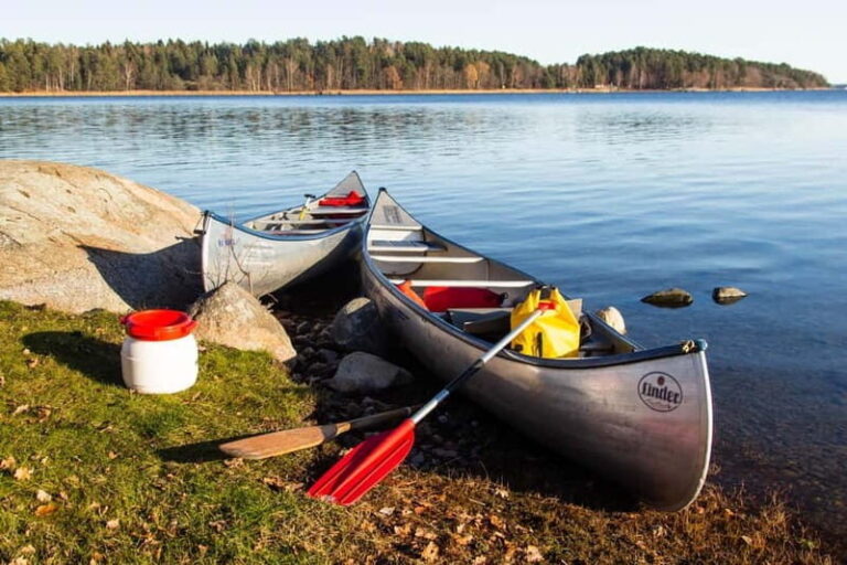Stockholm: Sunset Canoe Beaver Safari & BBQ on Island - Value and Booking Insights