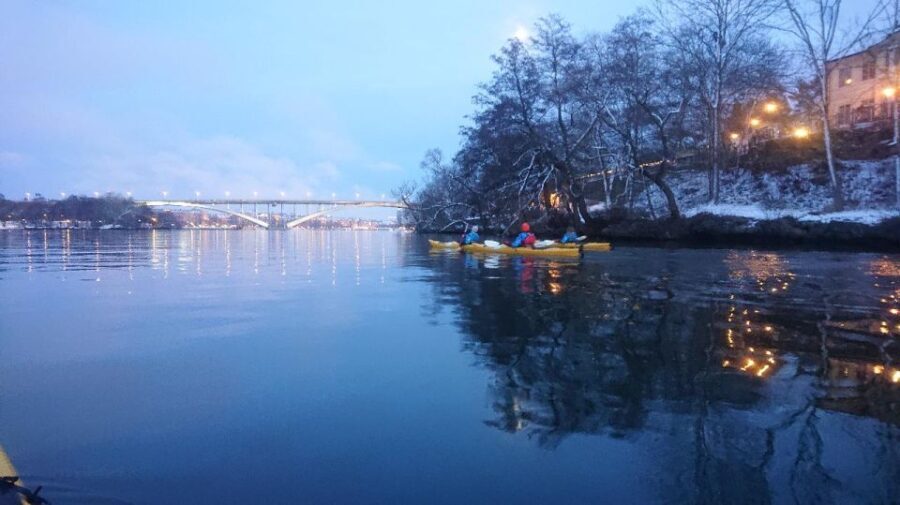 Stockholm: Winter City Kayaking Tour - Final Thoughts: Is the Stockholm Winter City Kayaking Tour Right for You?