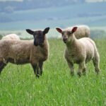 Stonehenge Special Access - Evening Tour from London - The Itinerary Breakdown: What You Can Expect