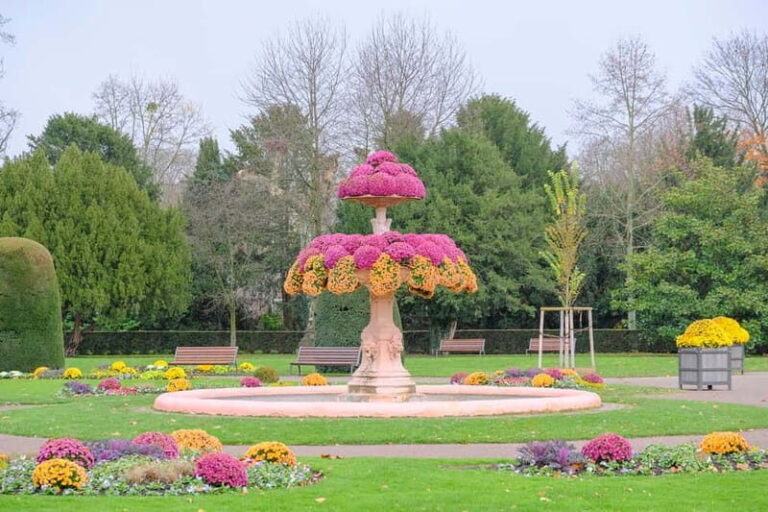 Strasbourg: 1.5-Hour Guided Segway Tour - What Itinerary Looks Like