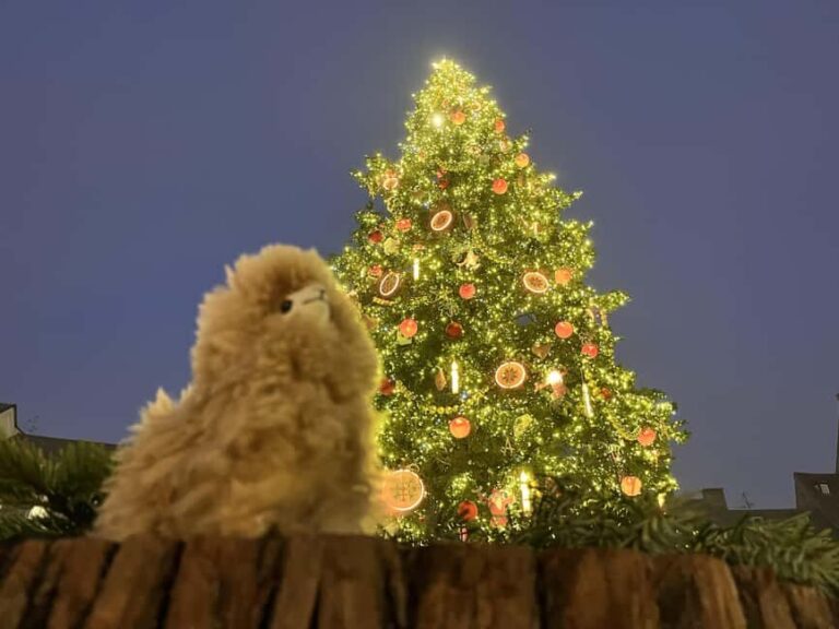 Strasbourg: Christmas Walking Tour with Mulled Wine - Breaking Down the Experience