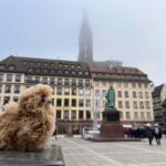 Strasbourg: Colmar, Villages & Castle Private Day Trip - What to Expect: The Practical Details