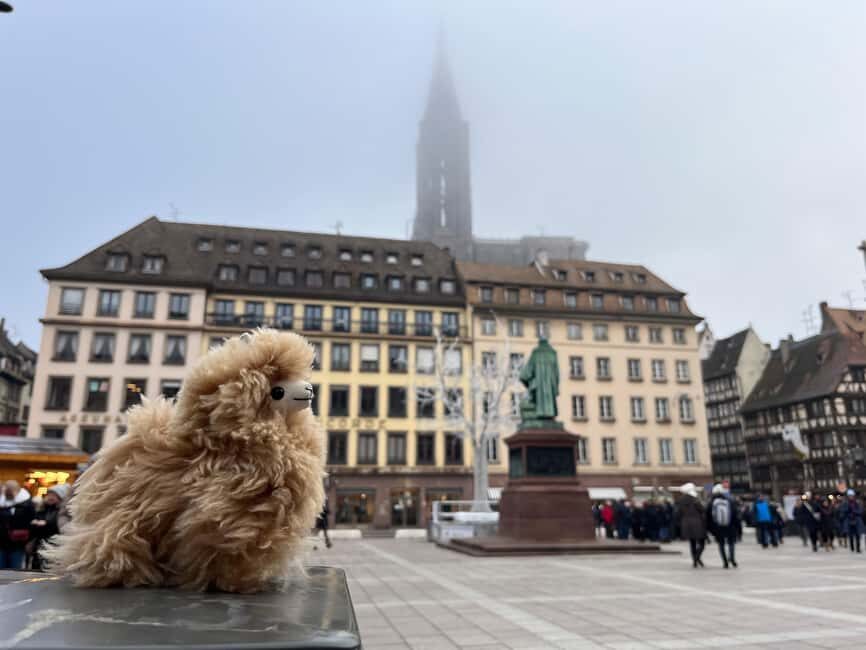 Strasbourg: Colmar, Villages & Castle Private Day Trip - What to Expect: The Practical Details