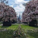 Strasbourg : guided walking tour through the wars 1871-1945 - The Practicalities: What to Expect and Why It Matters