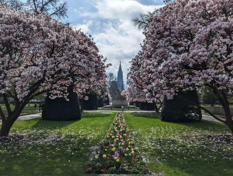 Strasbourg : guided walking tour through the wars 1871-1945 - The Practicalities: What to Expect and Why It Matters