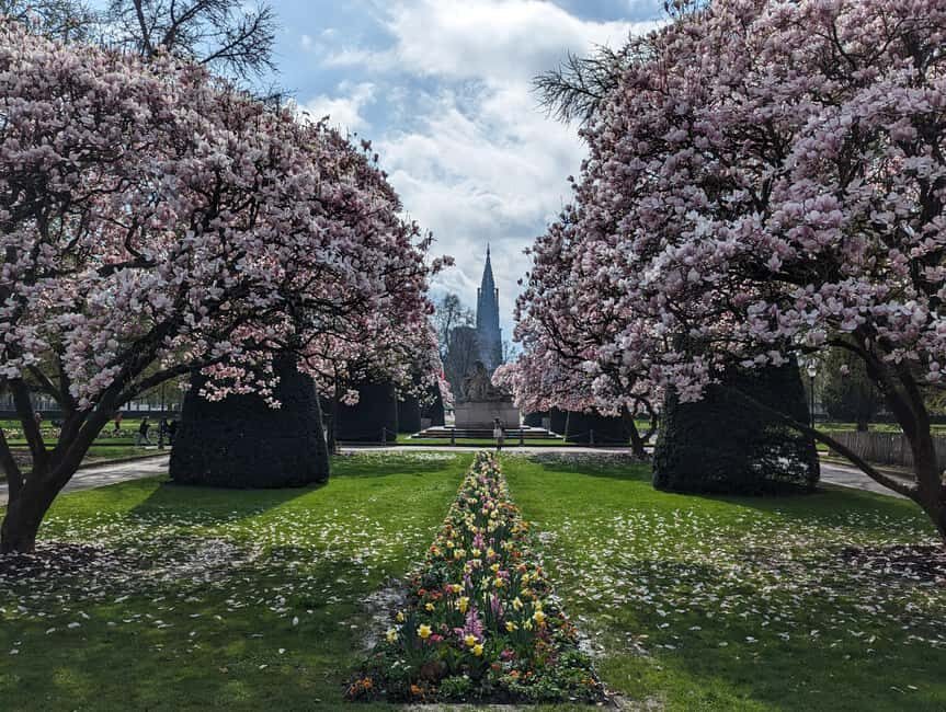 Strasbourg : guided walking tour through the wars 1871-1945 - The Practicalities: What to Expect and Why It Matters