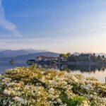 Stresa: Isola Madre and Isola Bella Hop-On Hop-Off Boat Tour - What You Should Expect on the Day