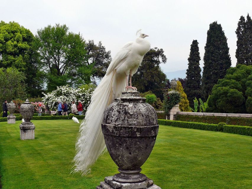 Stresa: Madre & Bella Borromean Islands Boat Trip - Practical Tips for Making the Most of Your Trip