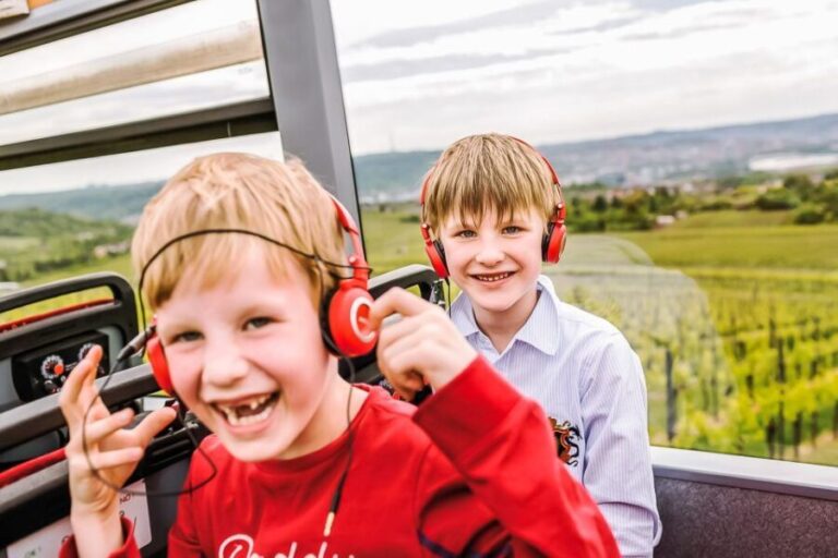 Stuttgart 24-Hour Hop-On Hop-Off Sightseeing Bus Tour - Exploring the Blue Route: Highlights and Stops