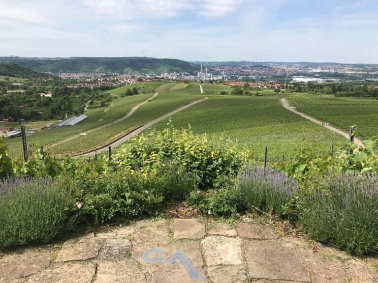 Stuttgart: E-bike wine tour including tasting - Who Should Consider This Tour?