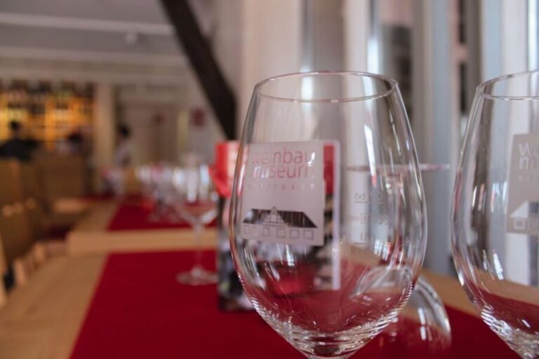 Stuttgart: Stuttgart Wine Museum Wine Tasting - Additional insights from reviews