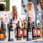 Stuttgart: Taster tour of the Wine Museum incl. 0.1 l wine - Who Is This Tour Best For?