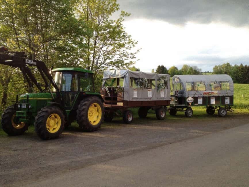 Stuttgart: Winter sleigh covered wagon tour - The Sum Up