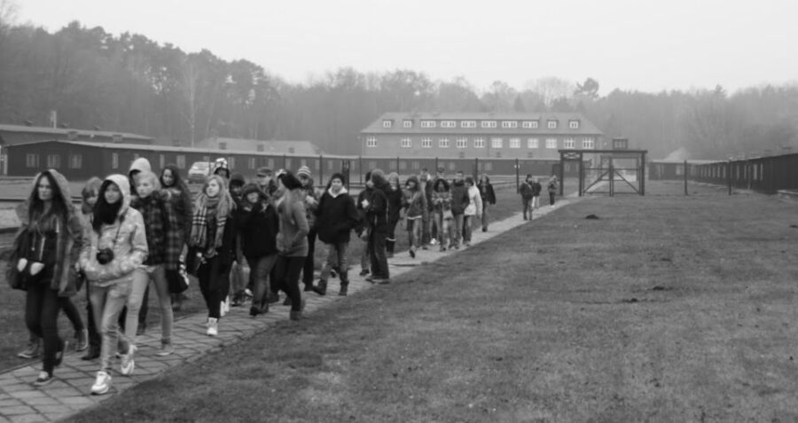 Stutthof Concentration Camp Half-Day Private Tour - Final Thoughts: Who Is This Tour Best For?
