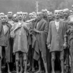 Stutthof Concentration Camp Private Tour with Transport - An In-Depth Look at the Tour Experience