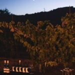 Sugano: Goblets at Sunset Experience - An In-Depth Look at the Sugano Sunset Experience