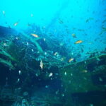 Sun-Kissed Shores: Full-Day Blue Lagoon with Food Delights - Practical Tips and What to Expect