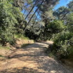 Sunrise at Tibidabo + local breakfast with views - What Sets This Tour Apart